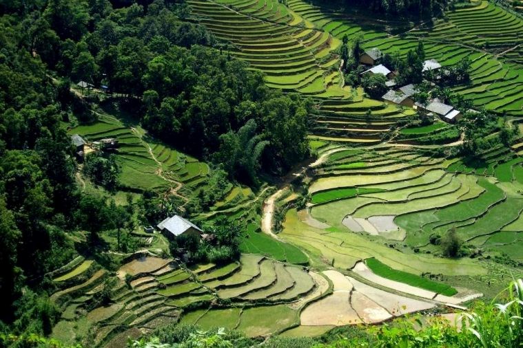 Ecolodge Panhou Retreat Hà Giang